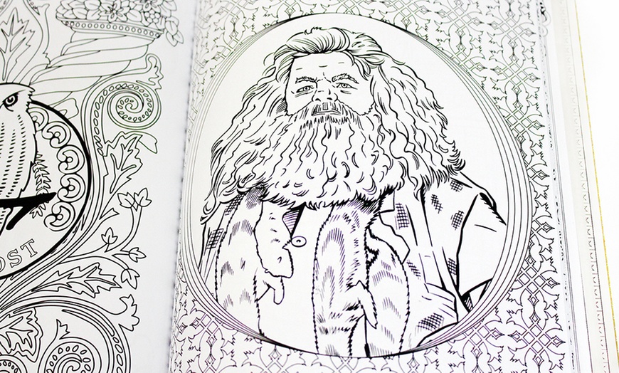 Image 4: Harry Potter Adult Coloring Book