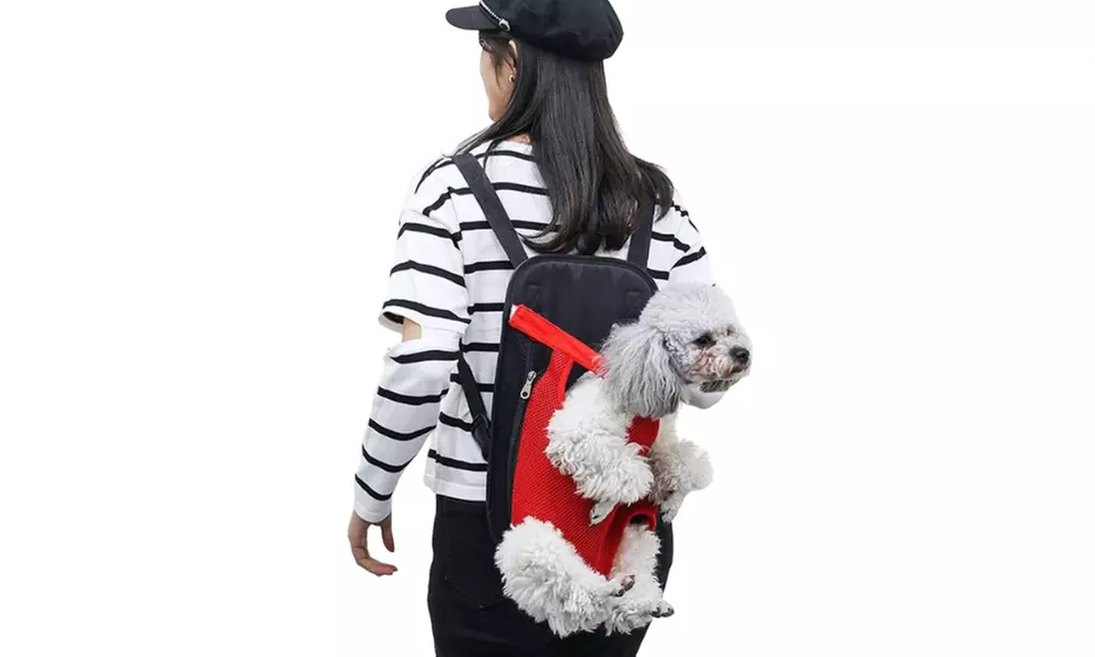 1 o 2 trasportini a marsupio per cani