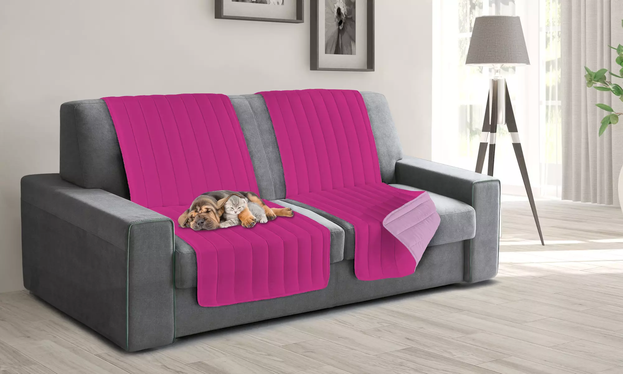 1, 2 o 4 manta cubresofas para mascotas - Primary Image