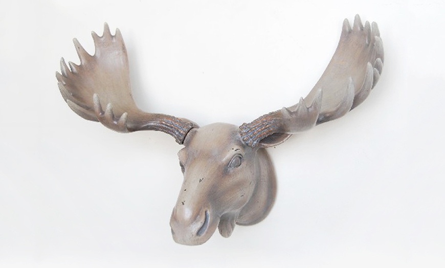 Image 7: Wall-Mounted Animal Heads