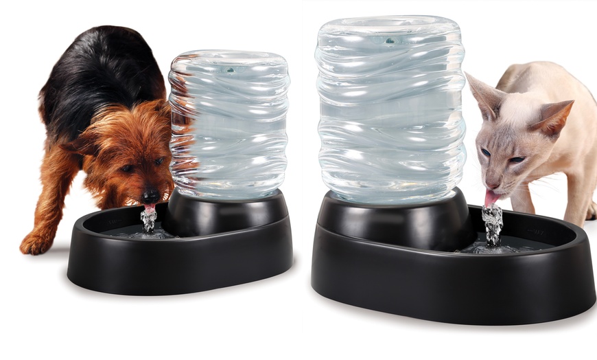 Electric Pet Water Fountain | Groupon Goods