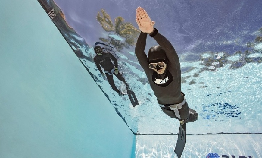 Image 3: Beginner Freediving Course