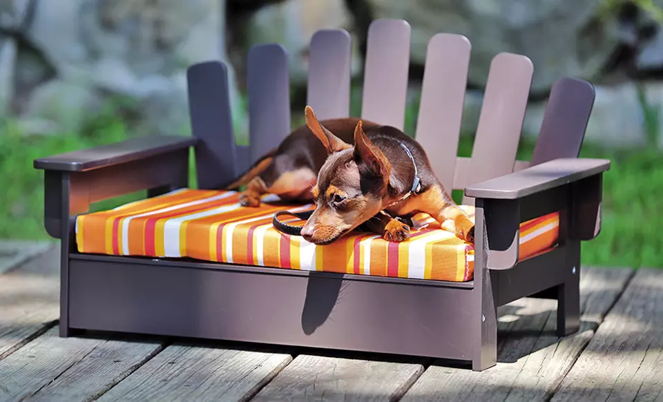 Pet Adirondack Chair with Pet Cushion - Primary Image