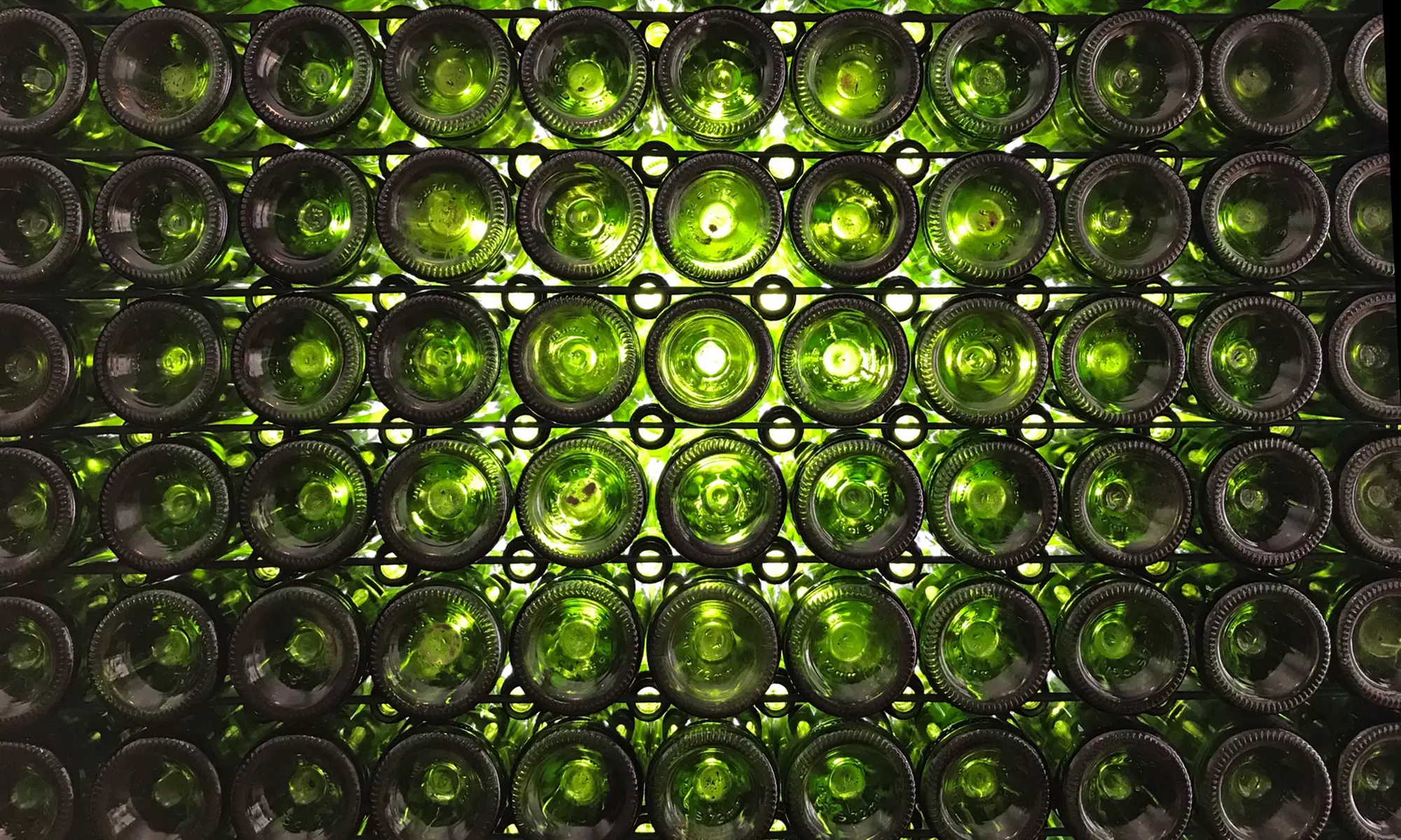 ¡Brindemos con cava! Visita guiada con cata de 4 cavas y maridaje