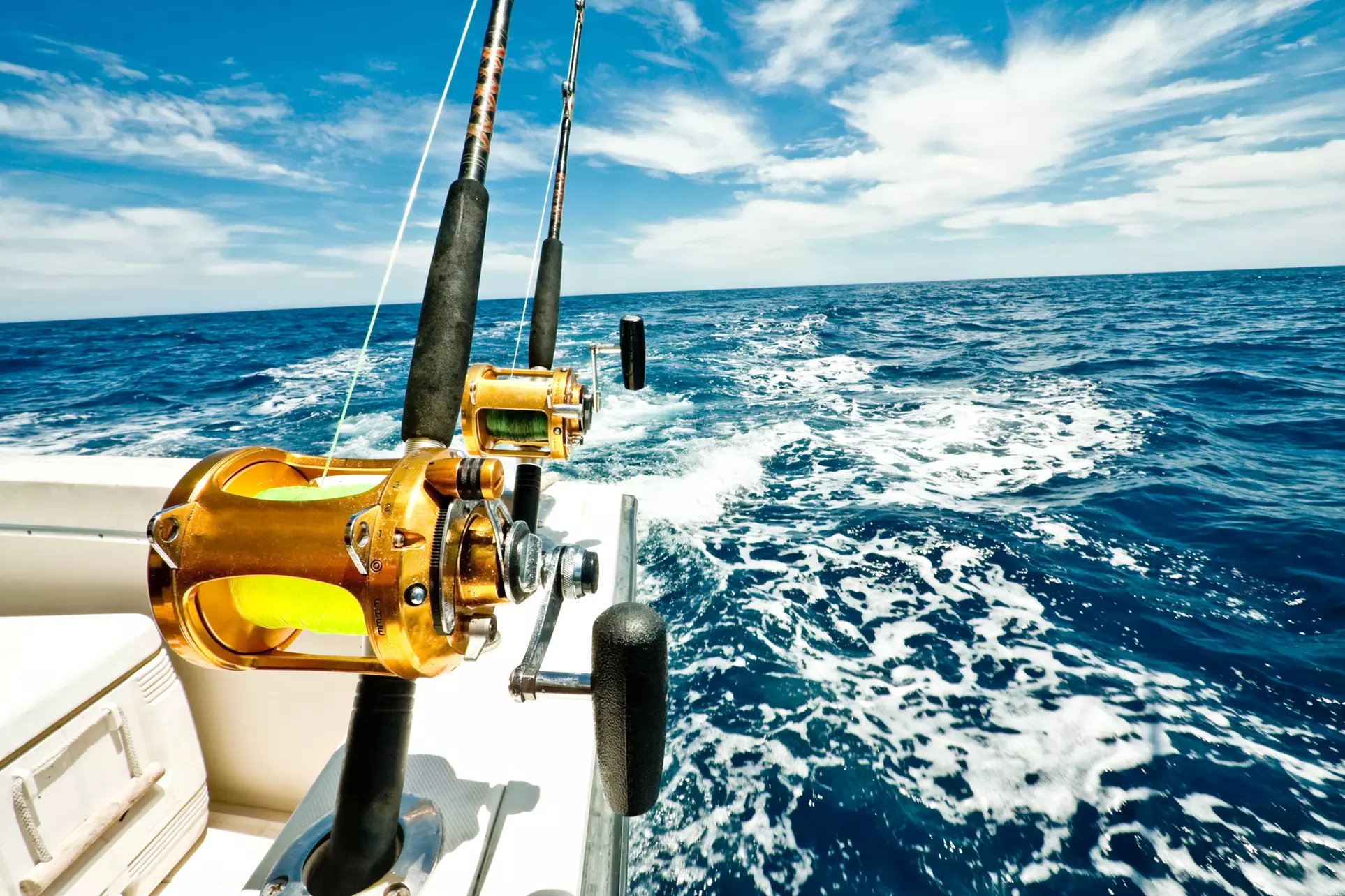 Up to 35% Off at Sports Coast Inshore Charters  - Primary Image