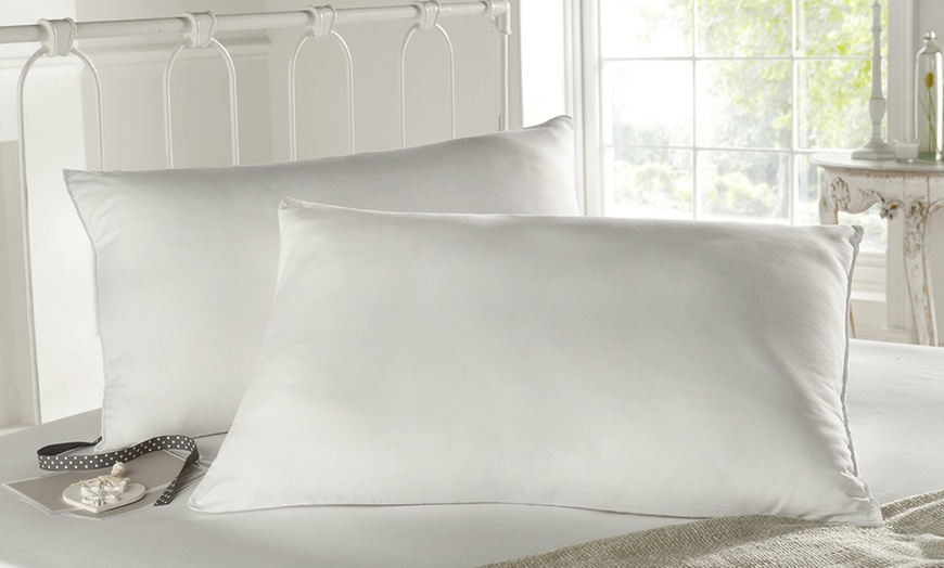 Image 2: 13.5 Tog Duvet and Two Pillows