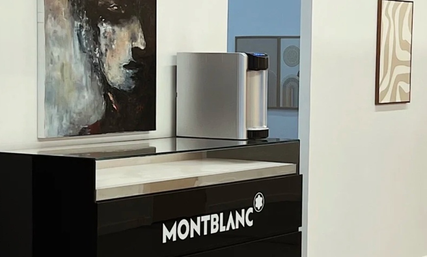 Image 4: Massage et accès au spa Hoesttic