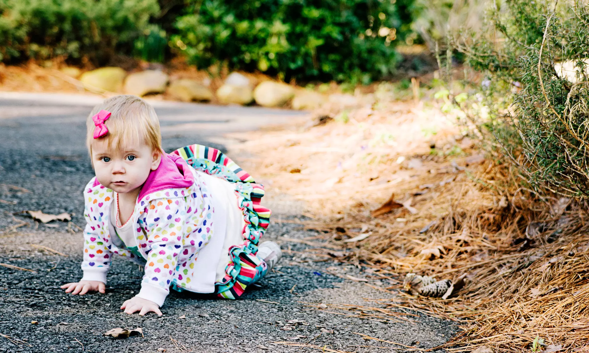 Up to 73% Off Photo shoot & Images at Jacquelyn Jackson Photography - Primary Image