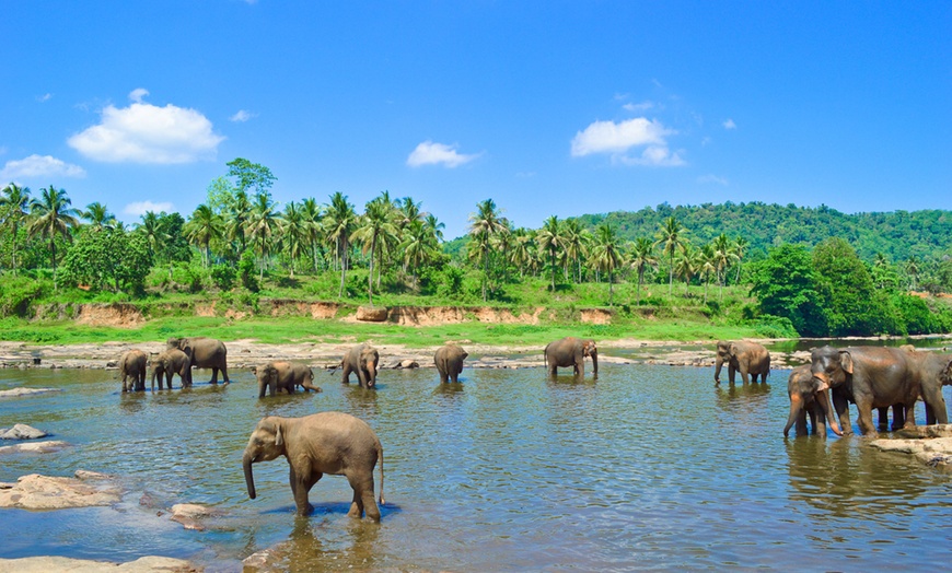 Image 9: ✈ Circuit Thaïlande 17 jours en pension complète