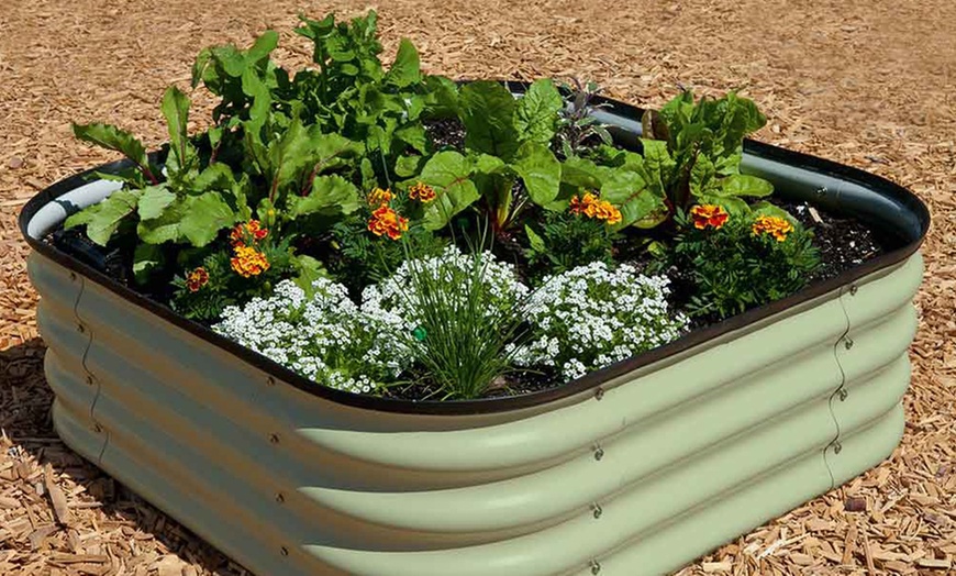 Image 1: One or Two Original Veggie Beds