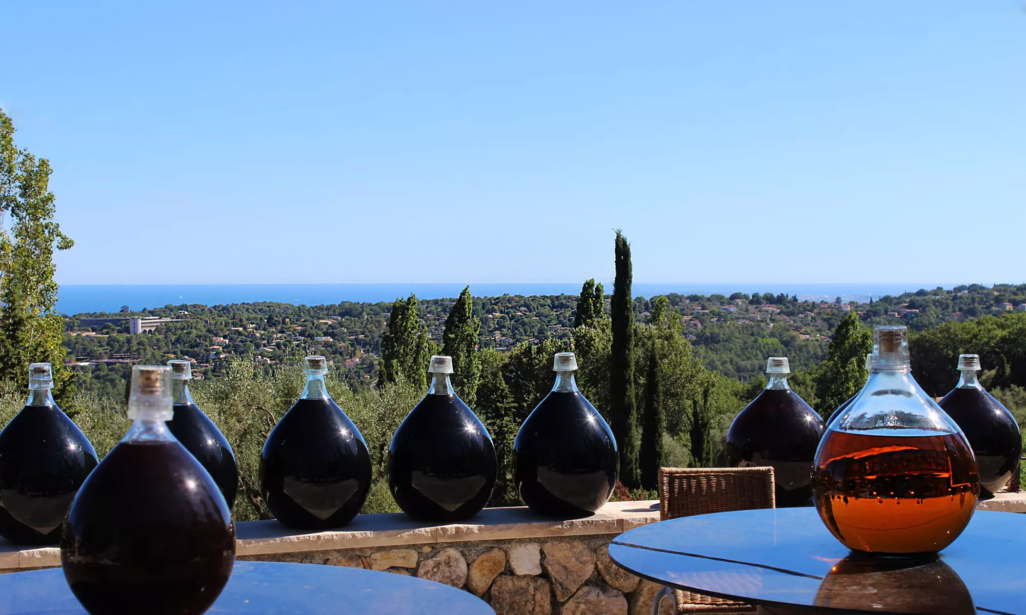 Visite guidée et dégustation