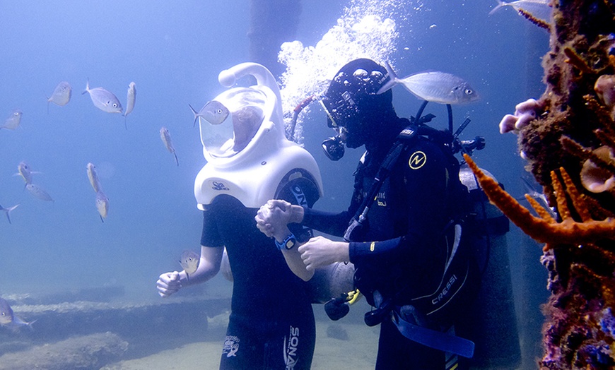 Undersea Walking Tour - Dive Busselton Jetty | Groupon