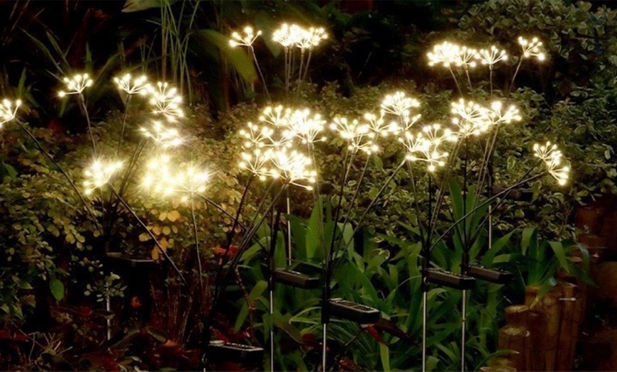 Image 2: Twinkling Solar Firework Garden Lights