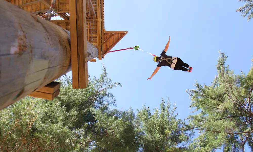 Jump Tower Experience and Sportsland Tickets at Muskoka Zip Lines & Aerial Park (Up to 51% Off)   - Primary Image