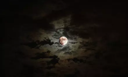 $30 for a Haunted Pub Tour for Two with Drinks from Spooked in Seattle Ghost Tours ($60 Value) - Primary Image