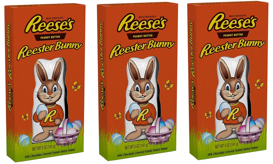 Image 2: Reester Bunny Multi-Pack