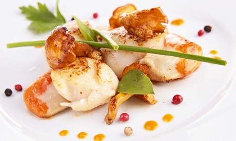 Plat et dessert ou entrée, plat, fromage et dessert au choix en duo dès 29,90 € au restaurant La Terrasse De Royas