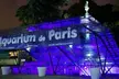 Visite nocturne de l'Aquarium de Paris pour 1 à 4 personnes, avec soft ou coupe de champagne (jusqu'à 42%) - Second Medium
