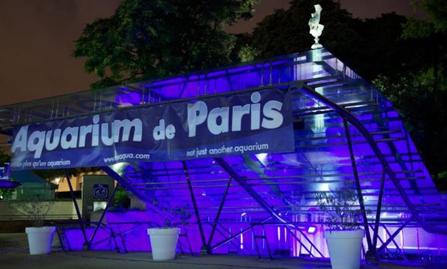 Image 6: Parcourez le monde marin de nuit à l'Aquarium de Paris