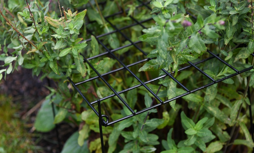 Image 1: Rectangle Grow Through Grid Support for Plants