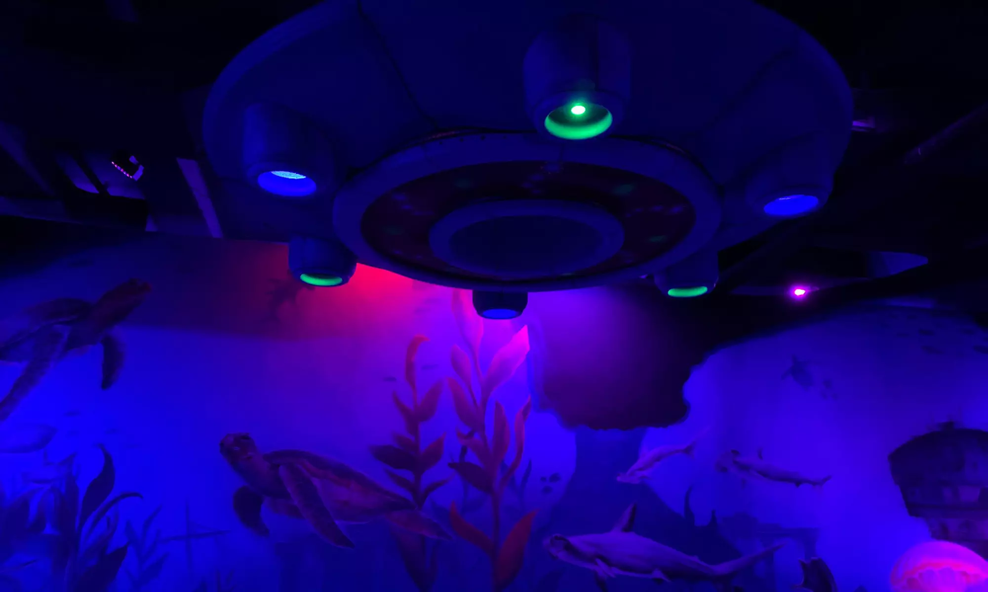 Demuestra tus dotes jugando al minigolf en un circuito de 9 o 12 hoyos