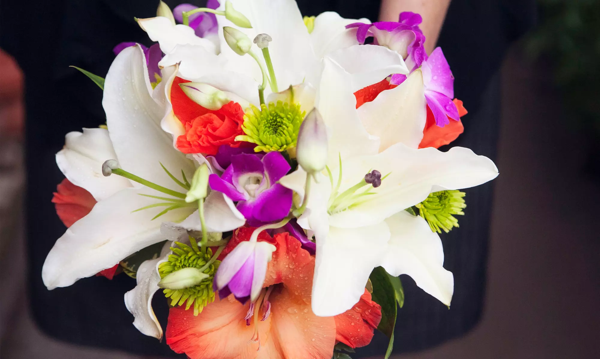 $40 for $70 Groupon — Botanica Detroit - Primary Image