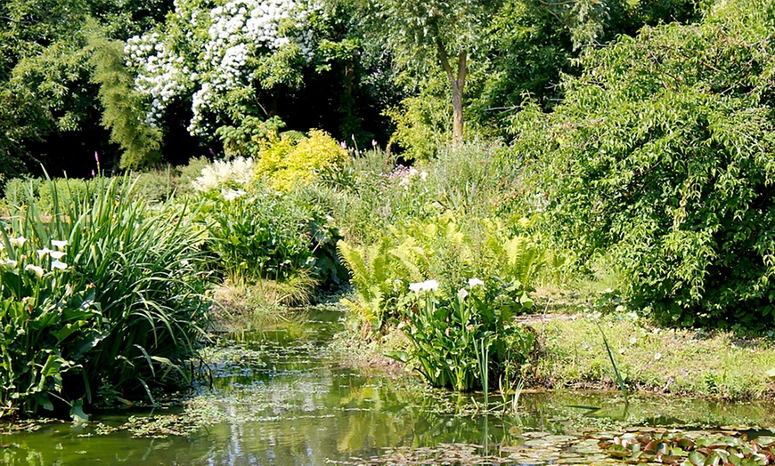 Image 6: Priory Maze and Gardens Entry