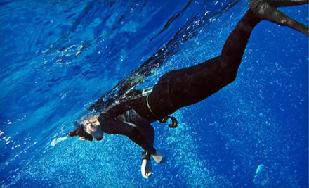 Daylong Introductory Spearfishing Lesson for One, Two, or Four from Westside Dive and Tackle in Kapolei (Up to 67% Off) - Primary Image