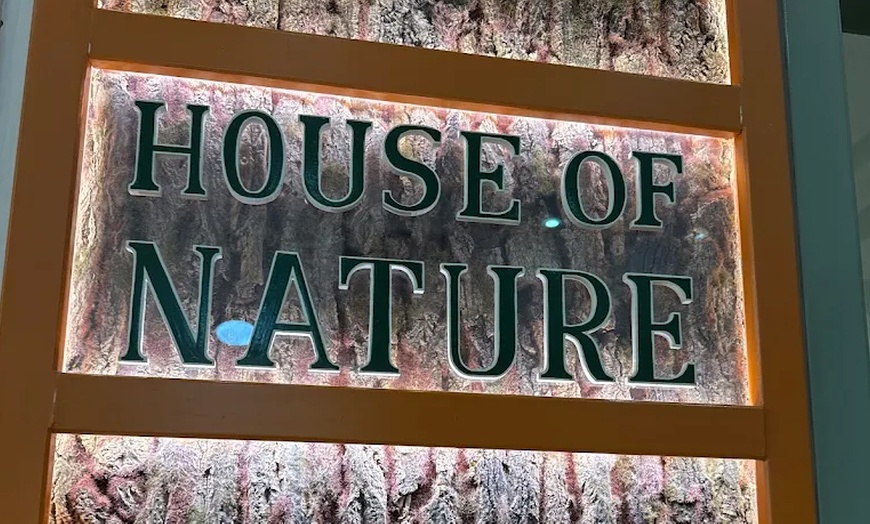 Image 6: Detox & Unwind: 60-Min Reflexology Experience for One or Two