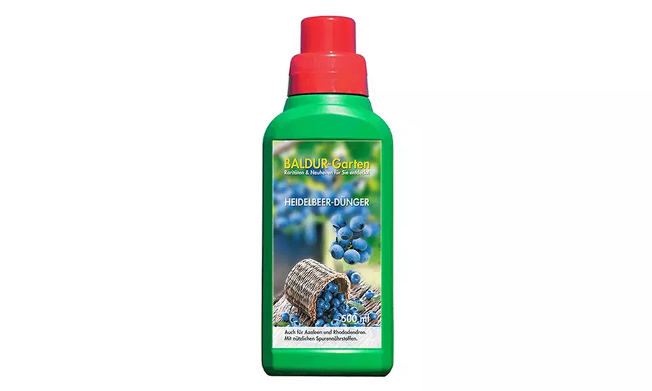 3, 6 oder 9 Pflanzen Trauben-Heidelbeere "Reka Blue" mit 500 ml Heidelbeer-Dünger - Second Medium