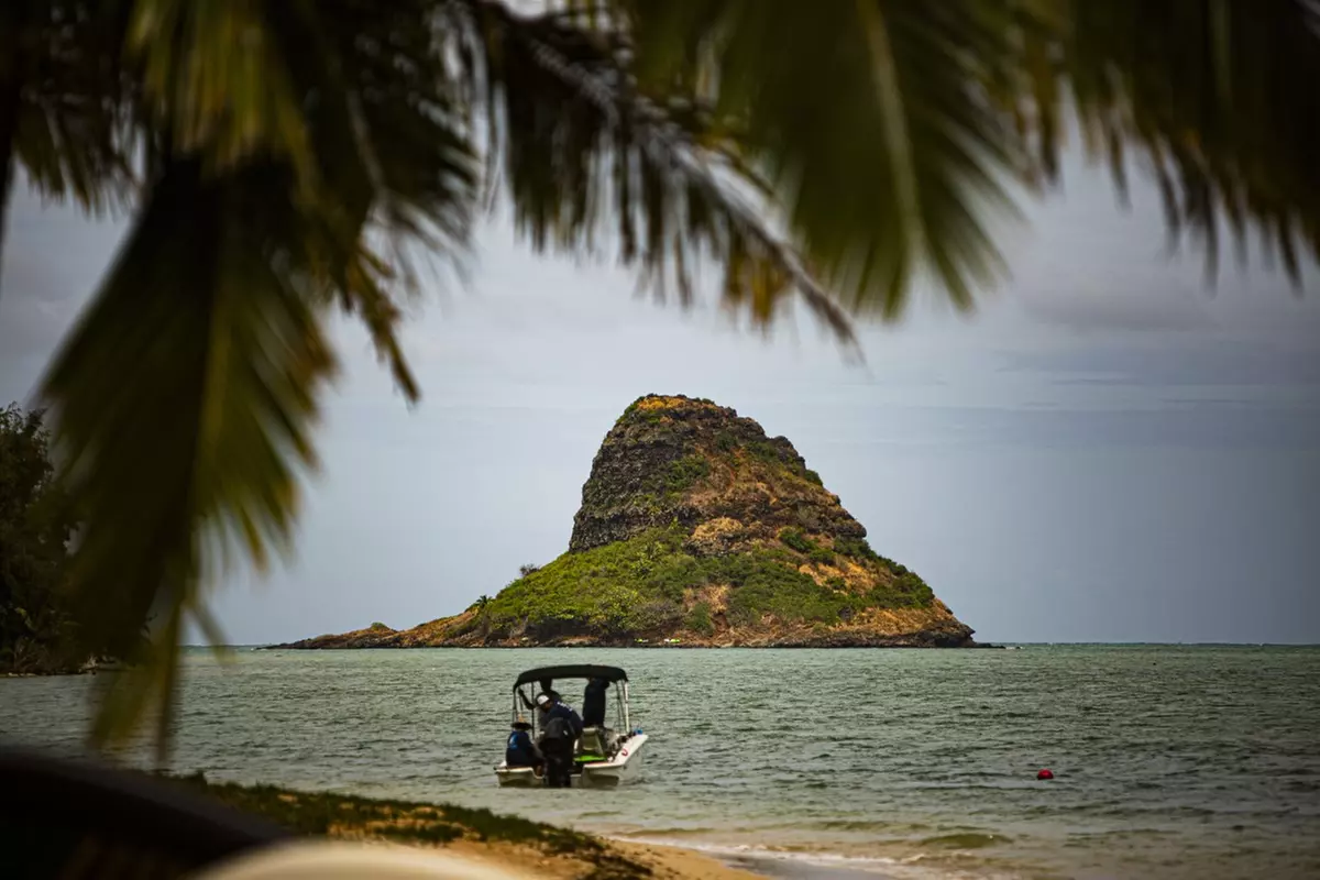 Save Up to 50% on Luau, Secret Island, Catamaran & Pearl Harbor Deals