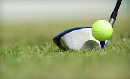 Two or Four Large Buckets of Driving-Range Balls at Fairtree Golf Centre in Markham - Primary Image