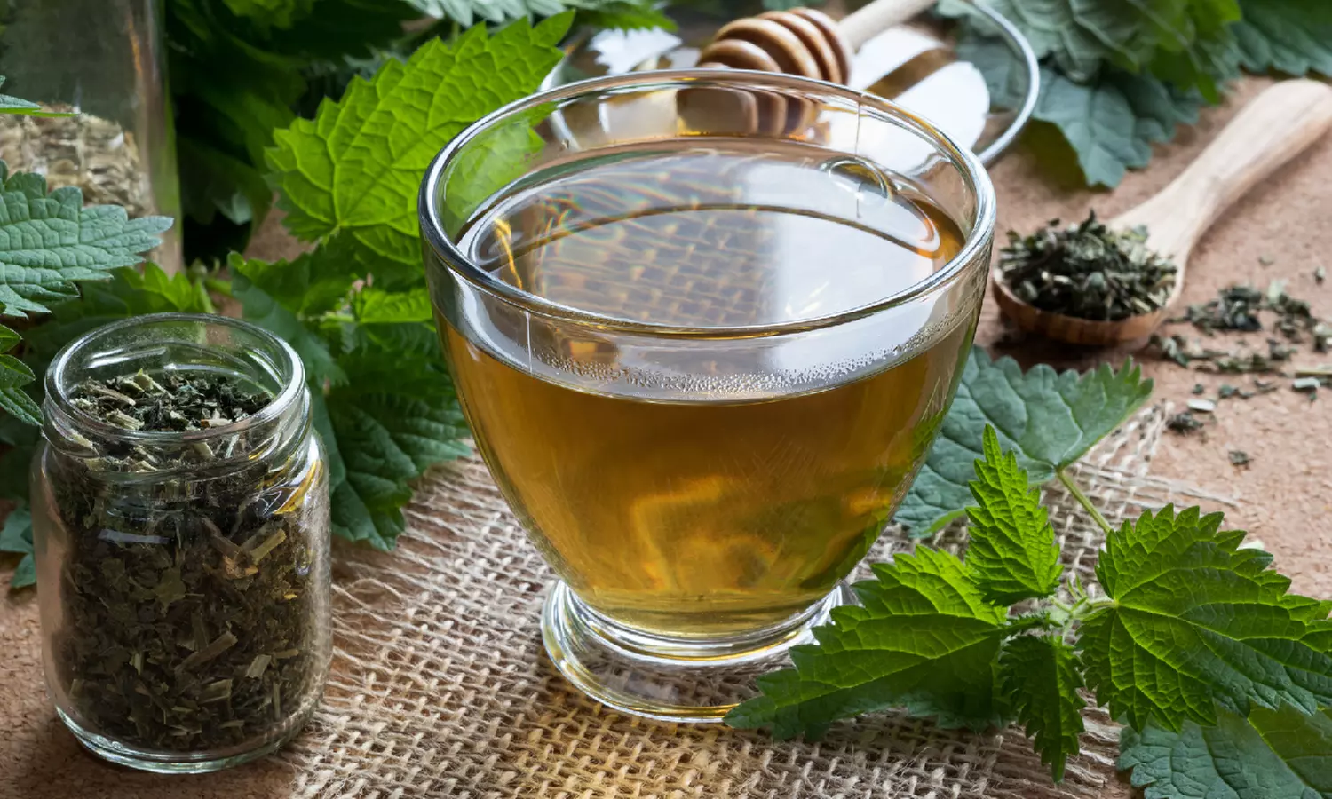 Home Brewing Beer Course from International Open Academy