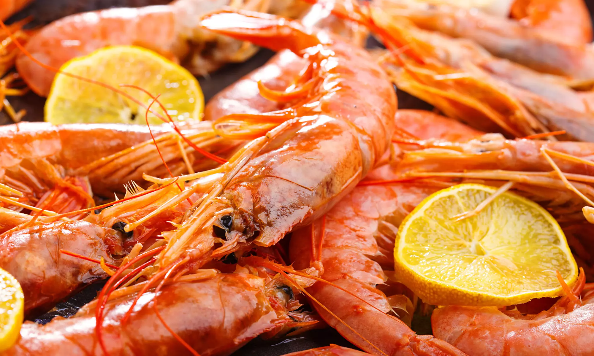 Mediterranes 2-Gänge-Menü für 2 o. 4 Personen mit argentinischen Wild-Scampis in Taverne Nefeli (bis 41% sparen) - Primary Image