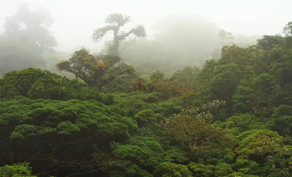 6-Night Stay in Costa Rica with Airfare and Car Rental from Travel by Jen. Price per person Based on Double Occupancy.  - Second Medium