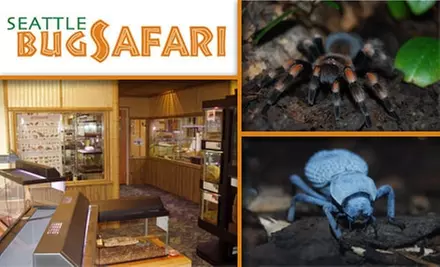 $4 for One-Day Admission to the Seattle Bug Safari - Primary Image