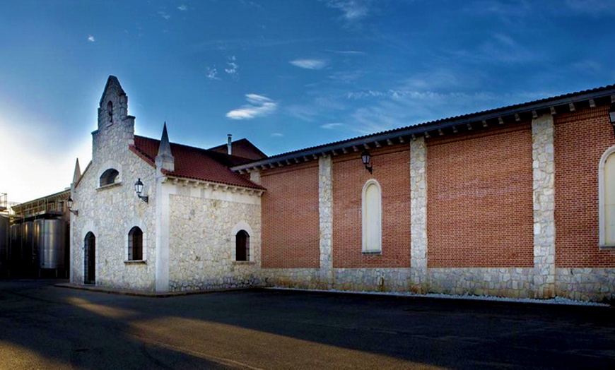 Image 9: Visita a bodega con cata de vinos y selección de embutidos y queso