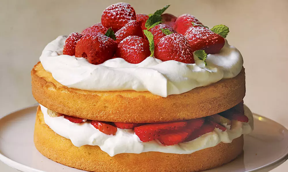 5, 10, 20 oder 40 Kletter-Erdbeerpflanze „Mount Everest “ - Second Medium