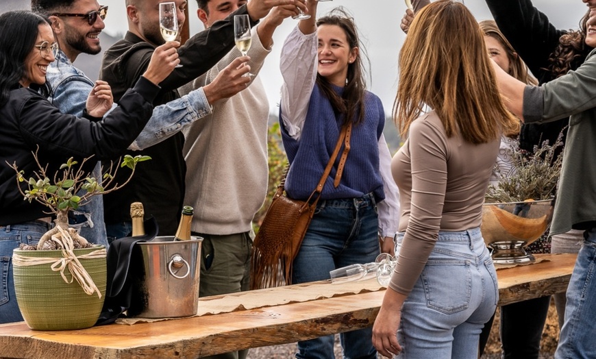 Image 1: Menú comida con visita a bodega con paseo por la finca y cata de vino