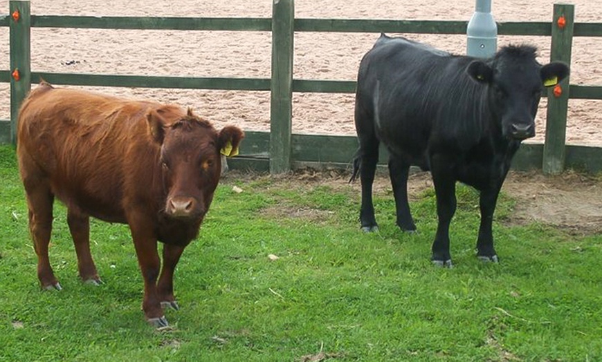 Image 3: Family Farm and Soft Play Entry