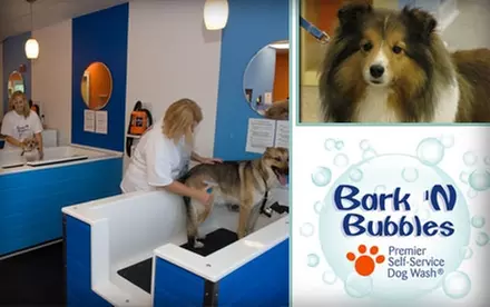 $10 for One "You Wash" Service Plus a Blueberry Facial at Bark 'N Bubbles Dog Wash (Up to $32 Value) - Primary Image