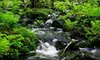 $29 for an Introductory Online Photography Course from R. McPhee Photography Virtual Learning Center ($59.99 Value)