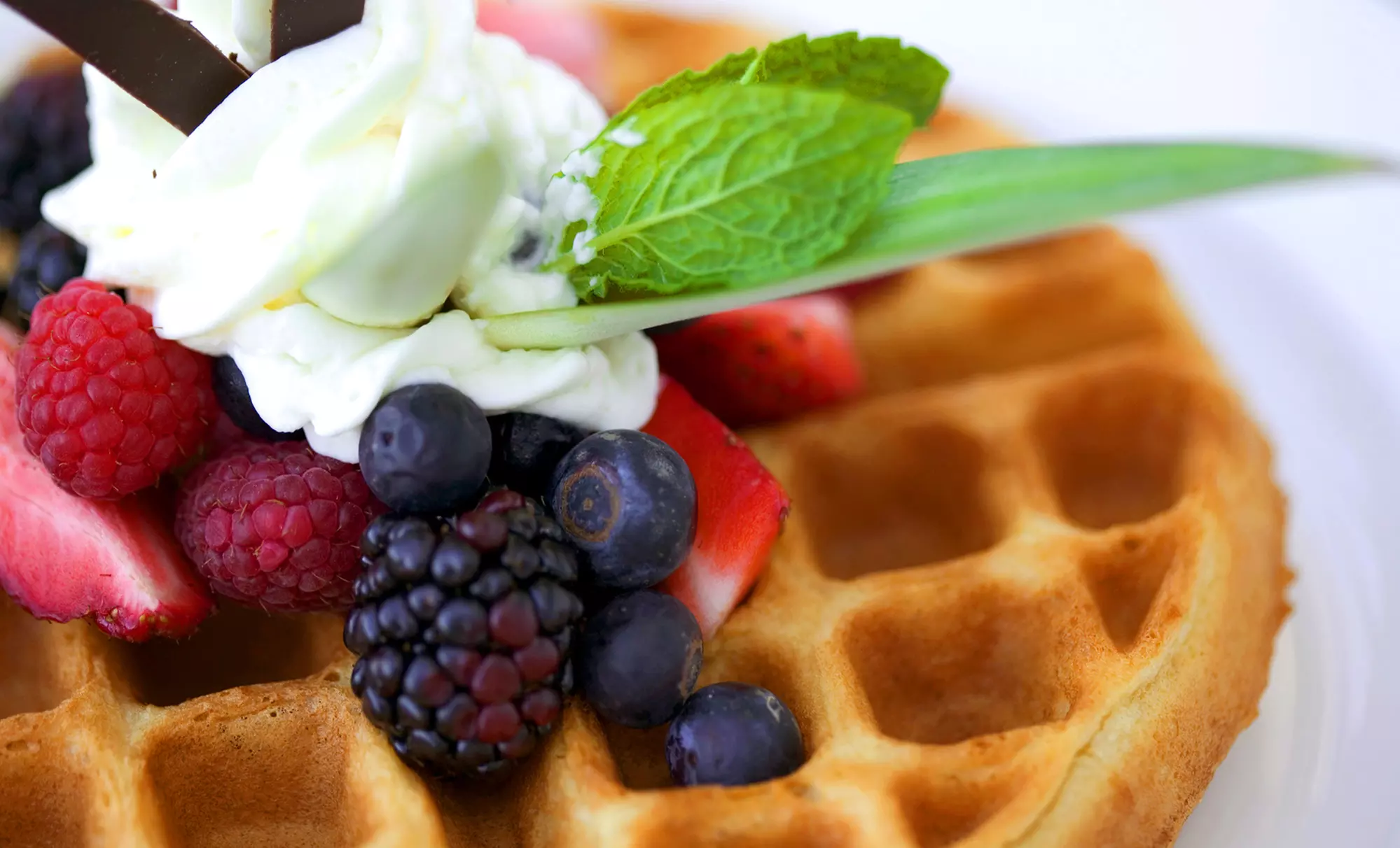 $21 for a Waffle Dinner with Entrees,  Drinks, and  Desserts for Two at Waffles (Up to $46.80 Value) - Primary Image