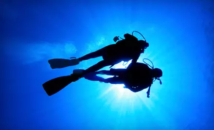 $96 for a Scuba Adventure for Non-Divers from Scuba San Diego ($175 Value) - Primary Image