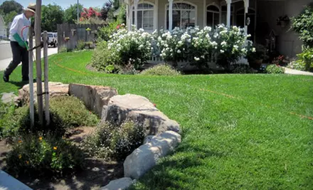 $22 for a Basic Lawn-Care Package from Team Green Lawn Fertilization and Weed Control ($44 Value) - Primary Image