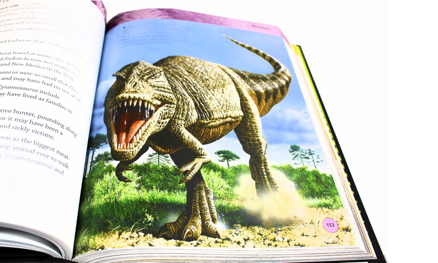 Image 11: Dinosaurs and Prehistoric Life Book