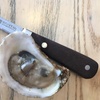Image 3: Hands-On Oyster Shucking Class with Expert Pairings at Wine 4 Oysters