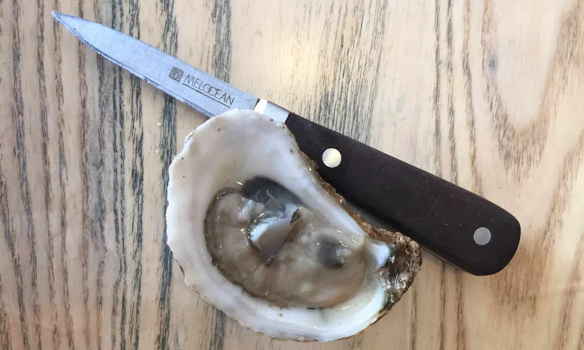 Hands-On Oyster Shucking Class with Expert Pairings at Wine 4 Oysters