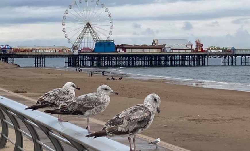 Image 10: Traditional Tea at Bradbury's of Blackpool