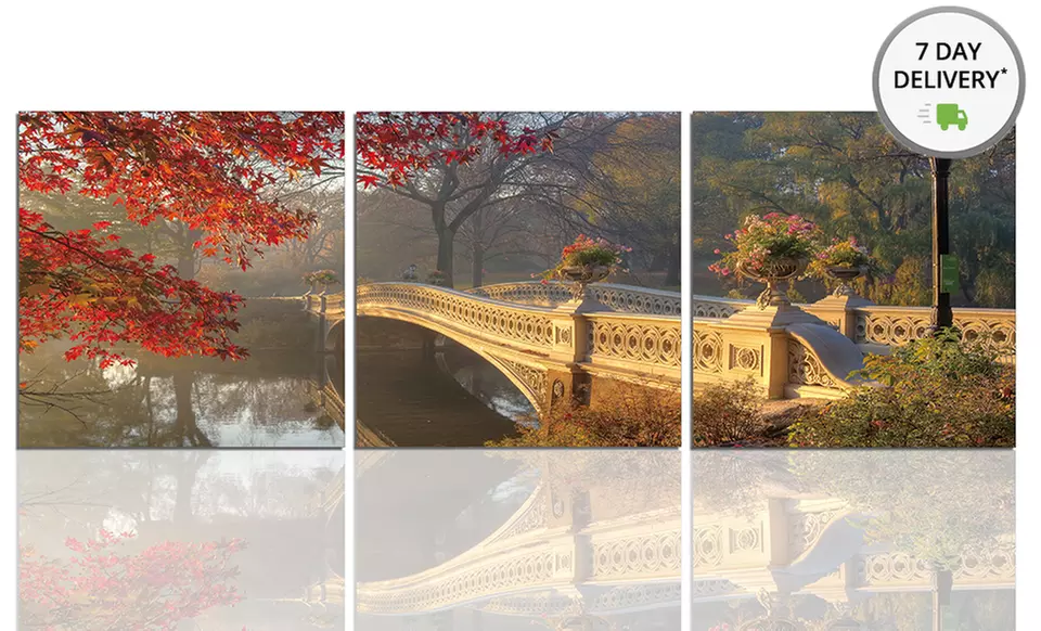 Global- and Nature-Themed Triptych Prints. Multiple Prints Available. Free Returns. - Primary Image